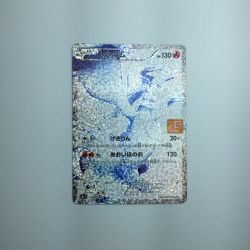 ζζ  トレカ ポケモンカード レシラム 020/025/S8a/P/B Bランク