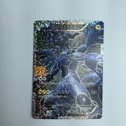 ζζ  トレカ ポケモンカード ゼクロム 021/025/S8a/P/B Bランク