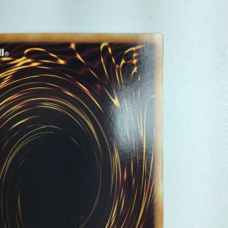   遊戯王 No.92偽骸神龍HEART-eartHDragon（ハートアースドラゴン） CBLZ/JP045HR