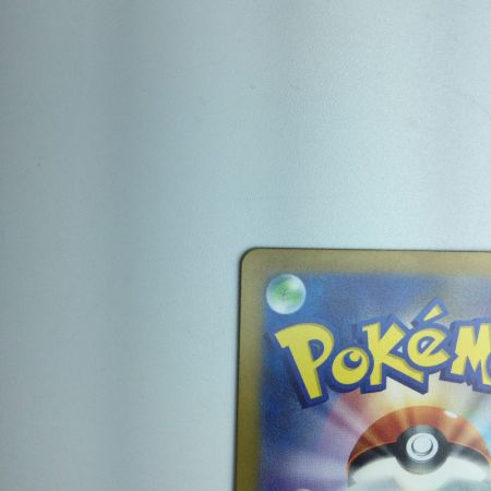   トレカ ポケモンカード ヒトカゲ 051/049/SVG/B