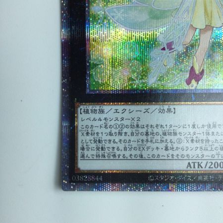   遊戯王 六花聖ストレナエ ROTD/JP046PSE