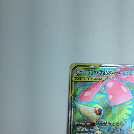   トレカ ポケモンカード フシギバナ＆ツタージャGX 065/064/SM11a/B SR