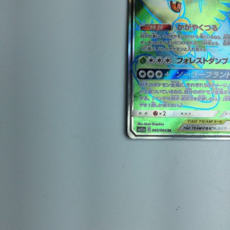   トレカ ポケモンカード フシギバナ＆ツタージャGX 065/064/SM11a/B SR