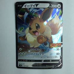 ζζ  ポケモンカード イーブイV 007/024/SN/B Bランク