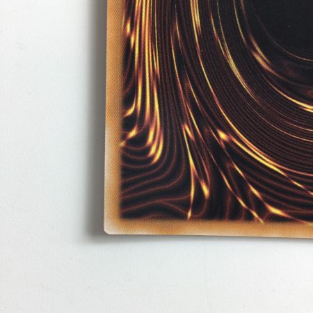   遊戯王 二人）ドラゴンメイド・ハスキー SLF1/JP065S