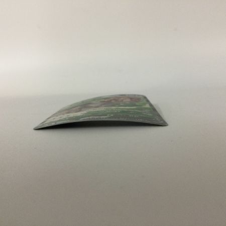   ポケモンカード ヨクバリスV 111/100 SR