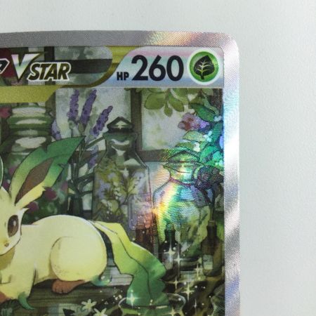   ポケモンカード リーフィアVSTAR 210/172/S12A/B SAR
