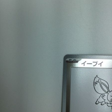   トレカ ポケモンカード イーブイ 062/SV/P