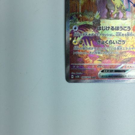   トレカ ポケモンカード タケルライコex 095/071/SV5K/B SAR