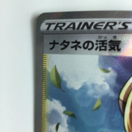   ポケモンカード ナタネの活気 078/067/S10D/B SR