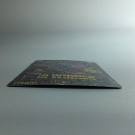   デュエルマスターズ 勝熱英雄モモキング DMEX17/W20 ’19 WINNER