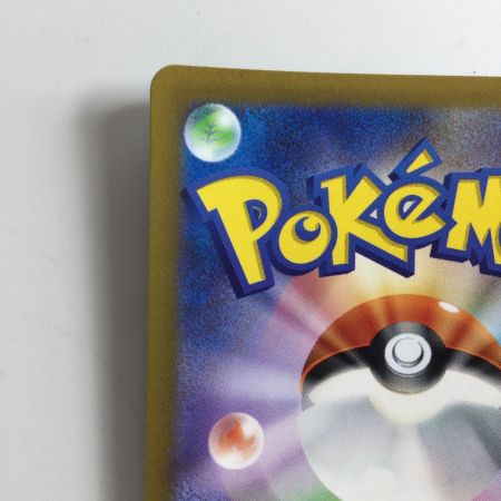   ポケモンカード エンテイV 213/172/S12A/B SAR