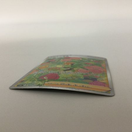   ポケモンカード ナタネの活気 243/172/S12A/B SAR