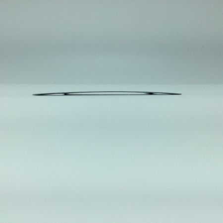   トレカ デュエルマスターズ 龍后妖精エリカッチュX DM24EX1H5/H5