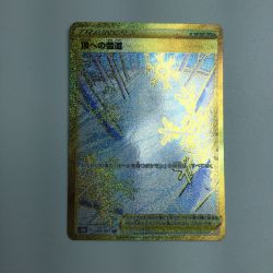 ζζ  トレカ ポケモンカード 頂への雪道 088/067/S10D/B UR Bランク