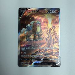 ζζ  トレカ ポケモンカード エンテイV 213/172/S12a/B SAR Bランク