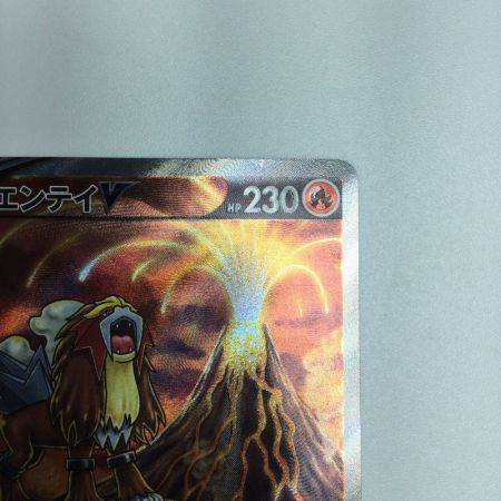   トレカ ポケモンカード エンテイV 213/172/S12a/B SAR