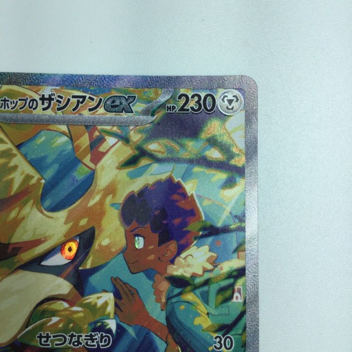 専用　ハルト　トレカ RT4-016 SABONEEDLE (RR レインボーレア) 】 仮面ライダーガッ