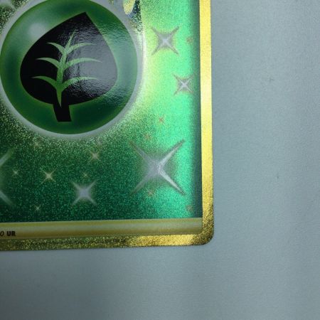   トレカ ポケモンカード 基本草エネルギー 128/100/S8/B UR