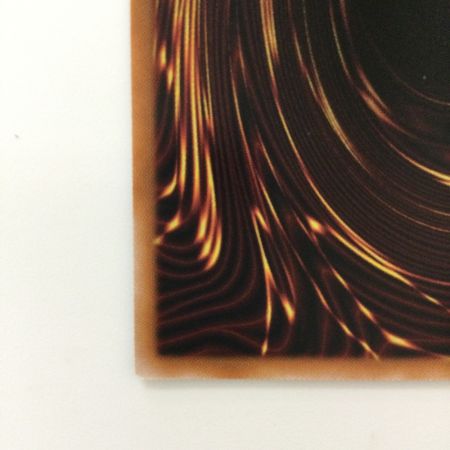   遊戯王 白き森の聖徒リゼット SUDA/JP008QSE 25thシークレットレア