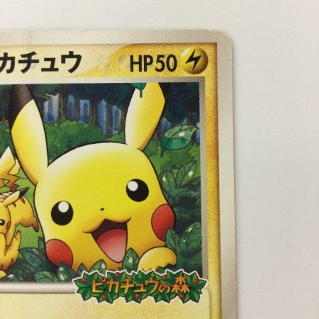   ポケモンカード ポケパークのピカチュウ 043/PCG/P ポケカ