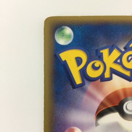   ポケモンカード ポケパークのピカチュウ 043/PCG/P ポケカ