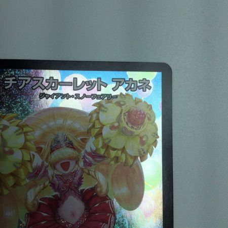   トレカ デュエルマスターズ チアスカーレット アカネ DM23RP1S8/S8