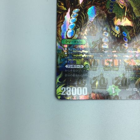   トレカ デュエルマスターズ ブラキオ龍樹 DMRP22TR6/TR10