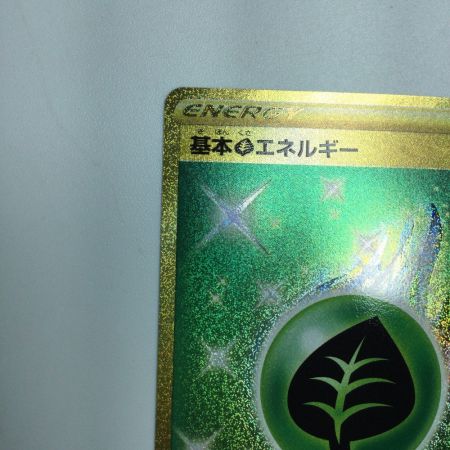   トレカ ポケモンカード 基本草エネルギー 128/100/S8/B UR