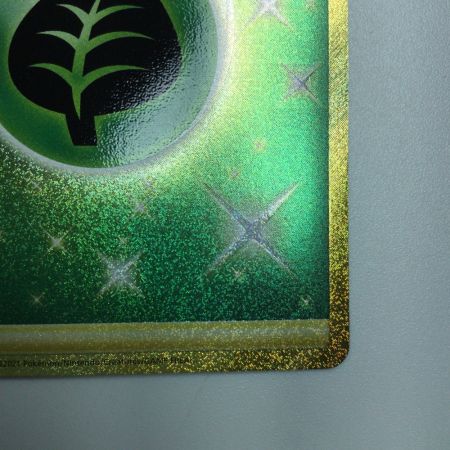   トレカ ポケモンカード 基本草エネルギー 128/100/S8/B UR