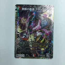 ζζ  トレカ デュエルマスターズ 禁断の轟速 ブラックゾーン DM23RP4TR5/TR9 Bランク