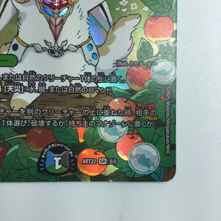 トレカ デュエルマスターズ SSS級天災 デッドダムド ART22SR2/5 - 中古