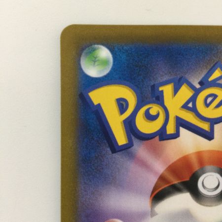   ポケモンカード ブラッキーV 244/184/S8B/B CSR ポケカ カリン