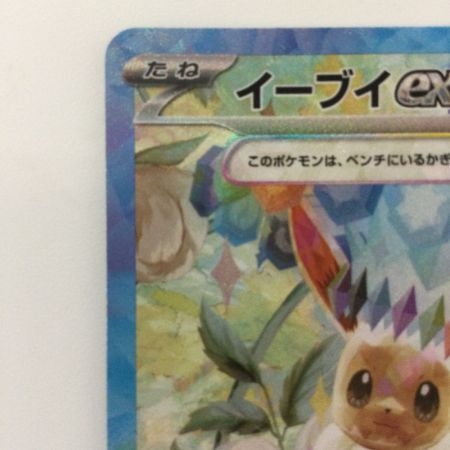   ポケモンカード イーブイex 223/187/SV8A/B SAR ポケカ