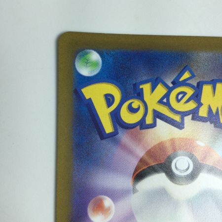   トレカ ポケモンカード バオッキーVSTAR 214/172/S12a/B SAR