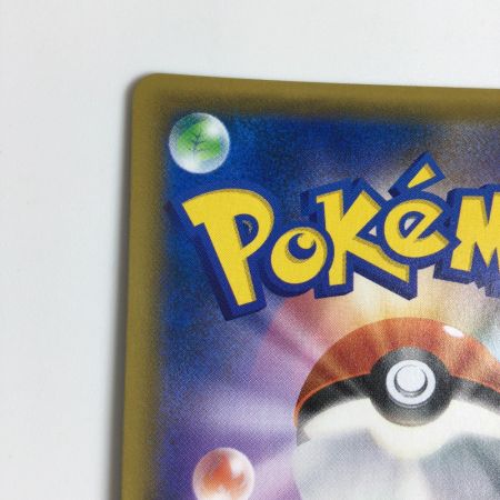   トレカ ポケモンカード ライチュウ＆アローラライチュウGX 064/054/SM10a/B HR