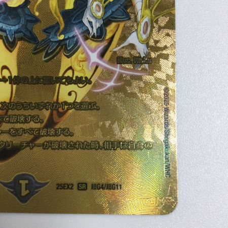   トレカ デュエルマスターズ 悪魔神バロム・リモーネ 25EX2SRTG4/TG11