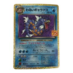 ζζ  トレカ ポケモンカード わるいギャラドス 005/025/S8a/P/B Bランク