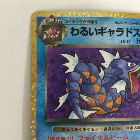   トレカ ポケモンカード わるいギャラドス 005/025/S8a/P/B