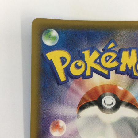   トレカ ポケモンカード そらをとぶピカチュウVMAX 024/028/S8a/B