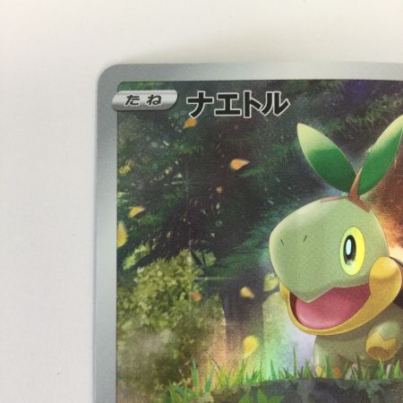   トレカ ポケモンカード ナエトル 206/172/S12a/B AR