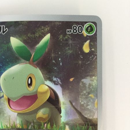   トレカ ポケモンカード ナエトル 206/172/S12a/B AR