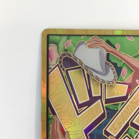   トレカ ワンピース 金枠)ドン?カード(ニコ・ロビン) DON-CARD-100