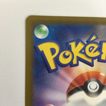   トレカ ポケモンカード ダークライVSTAR 228/172/S12a/B SAR