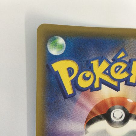   トレカ ポケモンカード そらをとぶピカチュウVMAX 024/028/S8a/B