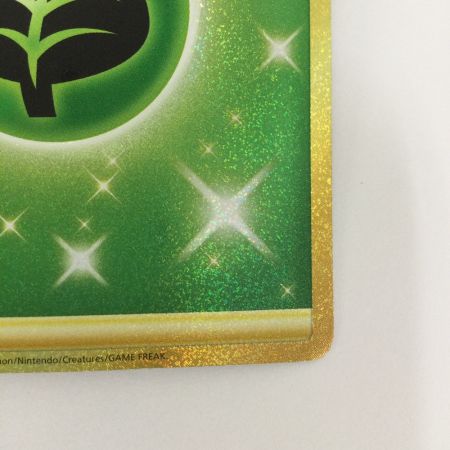   トレカ ポケモンカード 基本草エネルギー 128/100/S8/B UR