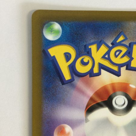   トレカ ポケモンカード ライコウV 218/172/S12a/B SAR