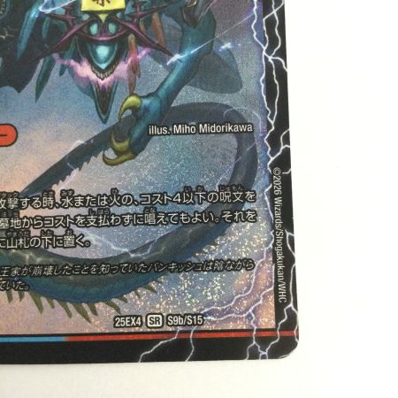   トレカ デュエルマスターズ 芸魔極楽！ガロウズ・ゴクドラゴン/芸魔温泉！オンセン・ガロウズ 25EX4SRS9b/S15