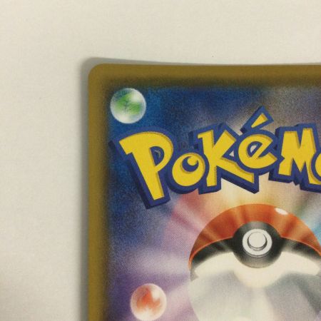   トレカ ポケモンカード そらをとぶピカチュウVMAX 024/028/S8a/B RRR