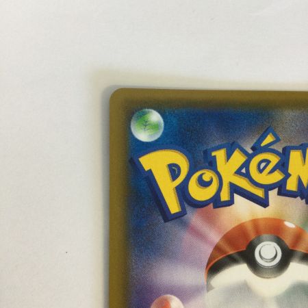   トレカ ポケモンカード イーブイＶMAX 101/S/P